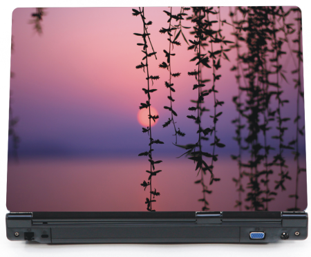 Wschód słońca nad wierzbą - naklejka na laptopa lapka - ED782