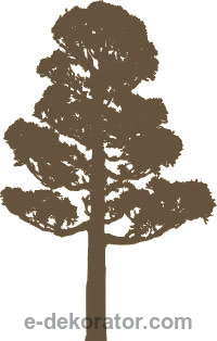 Polskie drzewo1 - kod ED254