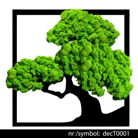 Drzewko Bonsai z mchem chrobotkiem symbol 30x30cm: decT00001