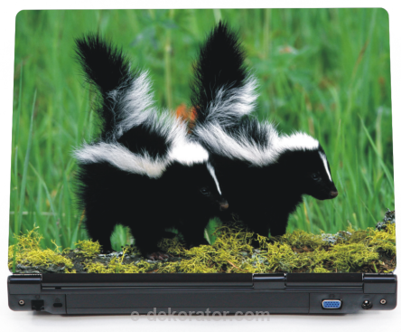 Skunksy - naklejki na laptopa lapka - ED722