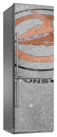 Lodowisko tafla lodu - naklejka na lodówkę - kod ED620