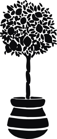 Drzewko morelowe - morelowiec - naklejka scienna - szablon malarski - kod ED346