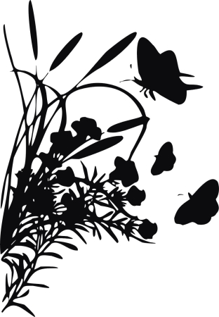Pałki wodne - motylki - naklejka scienna - szablon malarski - kod ED354