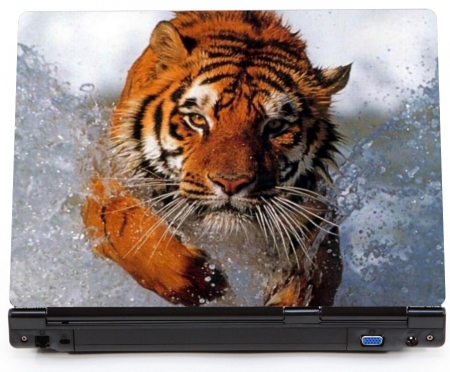 Tygrys syberyjski - naklejka na laptopa lapka  - kod ED665
