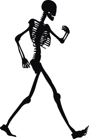 Kosciotrupek - szkielet- kostek - naklejka scienna - szablon malarski - kod ED362