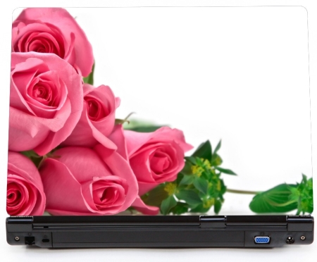 Róża bukiet róż - naklejka na laptopa lapka - kod ED647