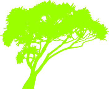 Pochylone drzewo - kod ED255