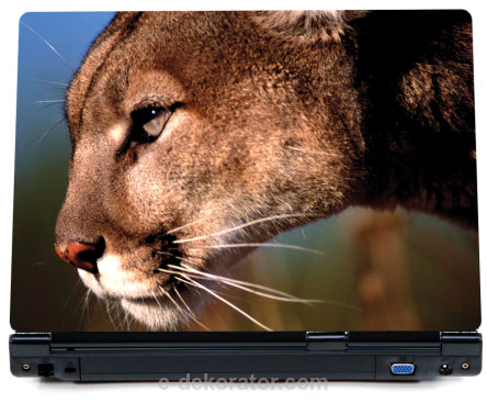 Puma wieczny łowca - naklejki na laptopa - kod ED554