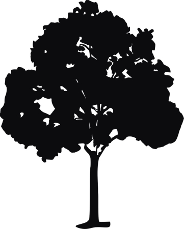 Dab - buk - drzewo - naklejka scienna - szablon malarski - kod ED342