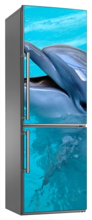 Delfin w basenie naklejka na lodówkę - kod ED670