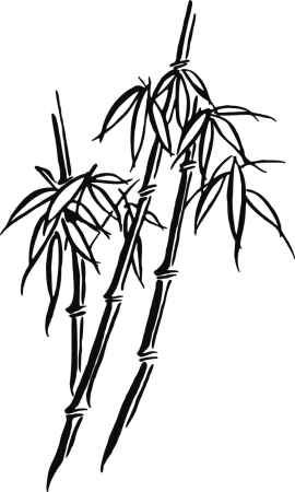 Bambus 1 - kod ED111