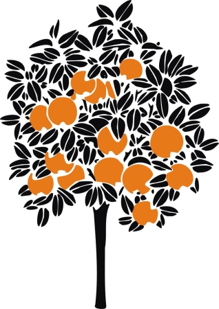 Pomarańczowiec - drzewo owocowe - naklejka scienna - szablon malarski - kod ED424