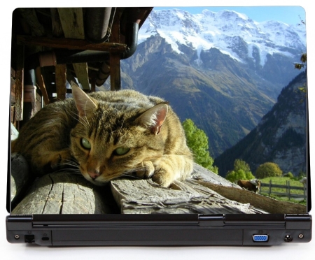 Kot na balkonie krajobraz góry - naklejka na laptopa lapka - kod ED615