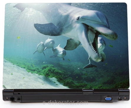 Delfin w morzu - naklejka na laptopa lapka - kod ED671