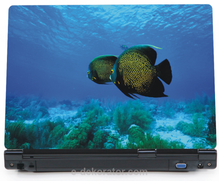 Rafa koralowa z rybkami - naklejka na laptopa lapka - ED718