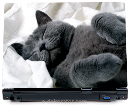 Śpiący czarny kotek - naklejka na laptopa - kod ED556