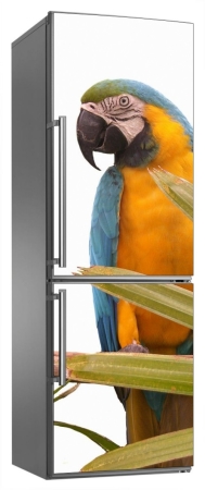 Papuga Ara - naklejka na lodówkę - kod ED634
