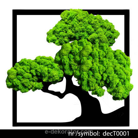 Drzewko Bonsai z mchem chrobotkiem symbol: decT00001