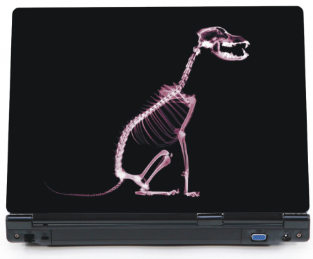 Szkielet psa - prześwietlenie - naklejka na laptop lapka - ED712