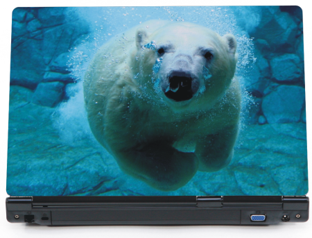 Niedźwiedź miś polarny pod woda - naklejka na laptopa lapka lapa - ED813