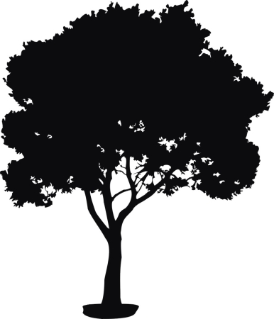 Czereśnia - drzewo -  naklejka scienna - szablon malarski - kod ED340