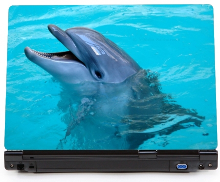 Delfin w basenie naklejka na laptopa lapka - kod ED670