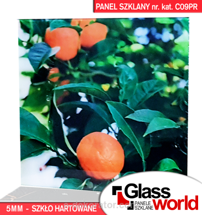 Drzewko pomarańczy - panel szklany 3 rozmiary nr kat. CO9PR