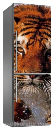 Tygrys syberyjski - naklejka na lodówkę - kod ED665