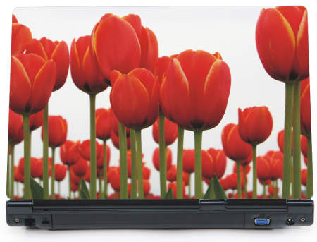 Tulipany - naklejka na laptopa lapka lapa - ED828