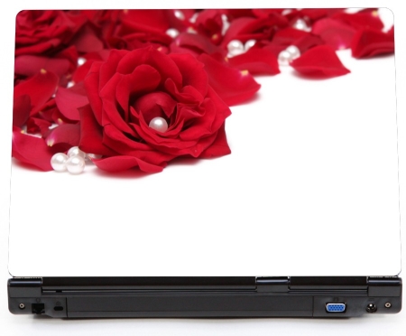 Róże płatki róży - naklejka na laptopa lapka - kod ED646