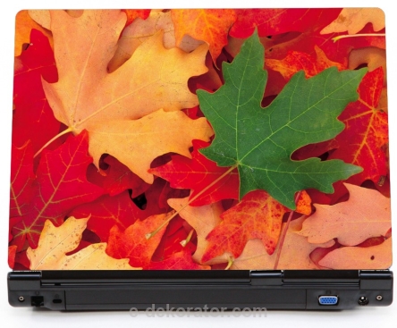 Jesień liście kasztany - naklejki na laptopa lapek - kod ED603
