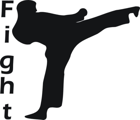 Karate Fight - kod ED46