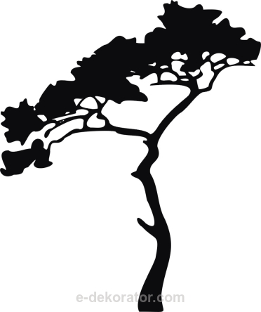 Afrykańskie drzewo - akacja - naklejka scienna - szablon malarski - kod ED339
