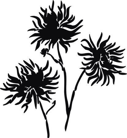 Chryzantema złocista - kwiatki - naklejka scienna - szablon malarki - kod ED388