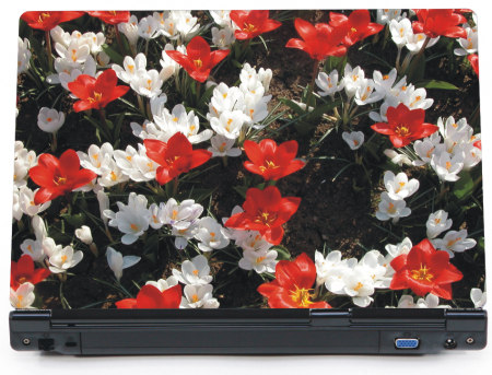 Kwiaty polana - naklejka na laptopa lapka - ED803