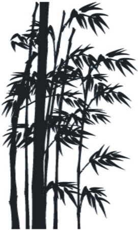 Bambus z palmami - palma - naklejka scienna - szablon malasrki - kod ED406