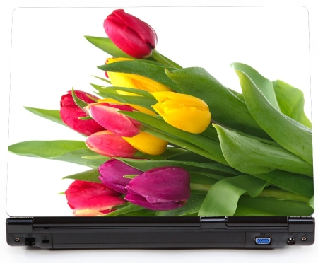 Tulipany - naklejka na laptopa lapka - kod ED669